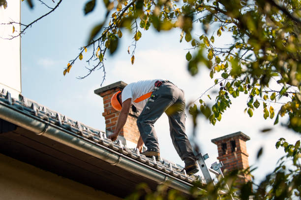 Best Flat Roof Repair Services  in Newton, IL