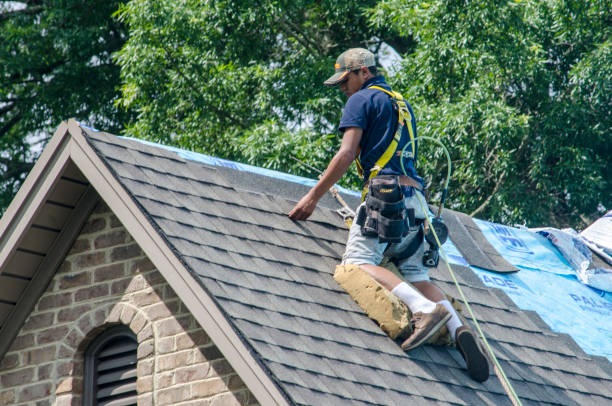 Best Roof Gutter Cleaning  in Newton, IL